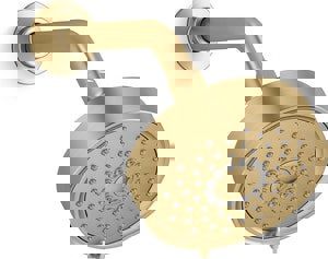 Multi Function Showerhead in Vibrant Brushed Moderne Brass